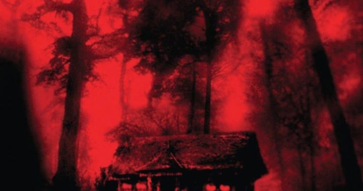 Poster for the movie "Cabin Fever"