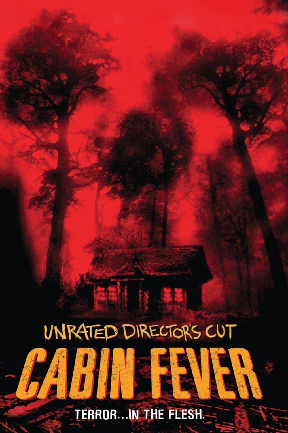 Poster for the movie "Cabin Fever"