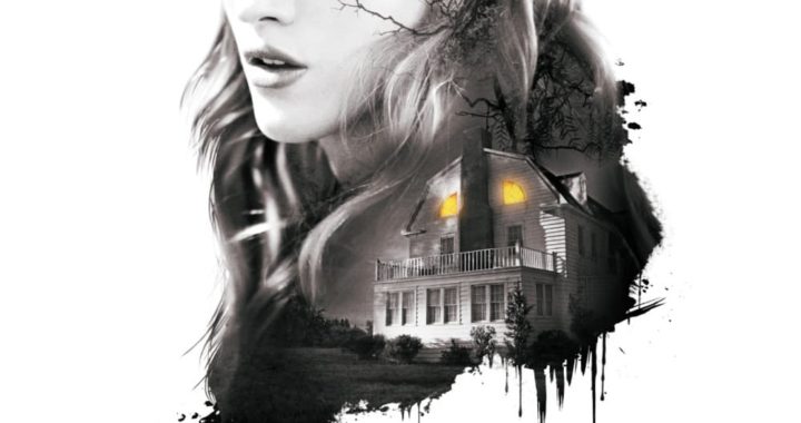 Poster for the movie "Amityville : Il risveglio"