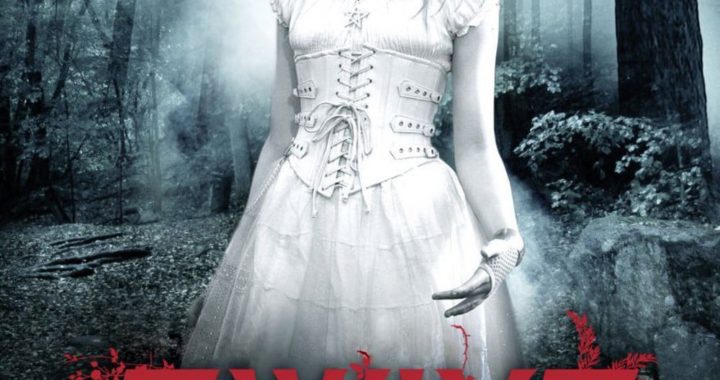 Poster for the movie "Twixt"